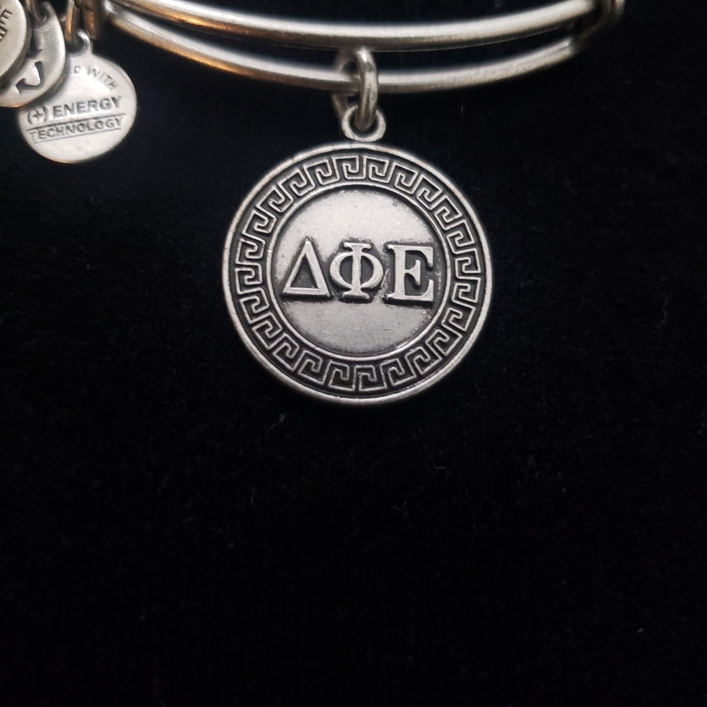 Alex and Ani Rafaelian Silver Delta Phi Epsilon 2012 - Picture 3 of 8